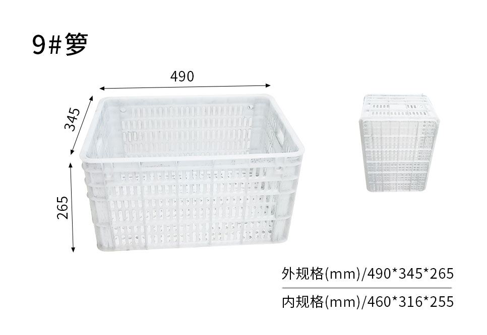 9#籮-主圖